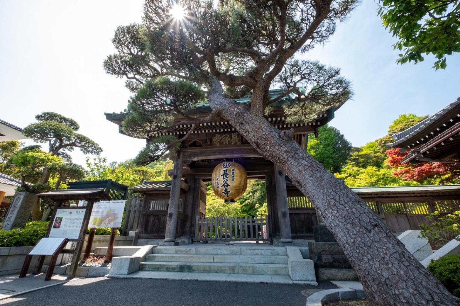 Japanese Modern Inn 鎌倉楽庵ハナレ كاماكورا المظهر الخارجي الصورة